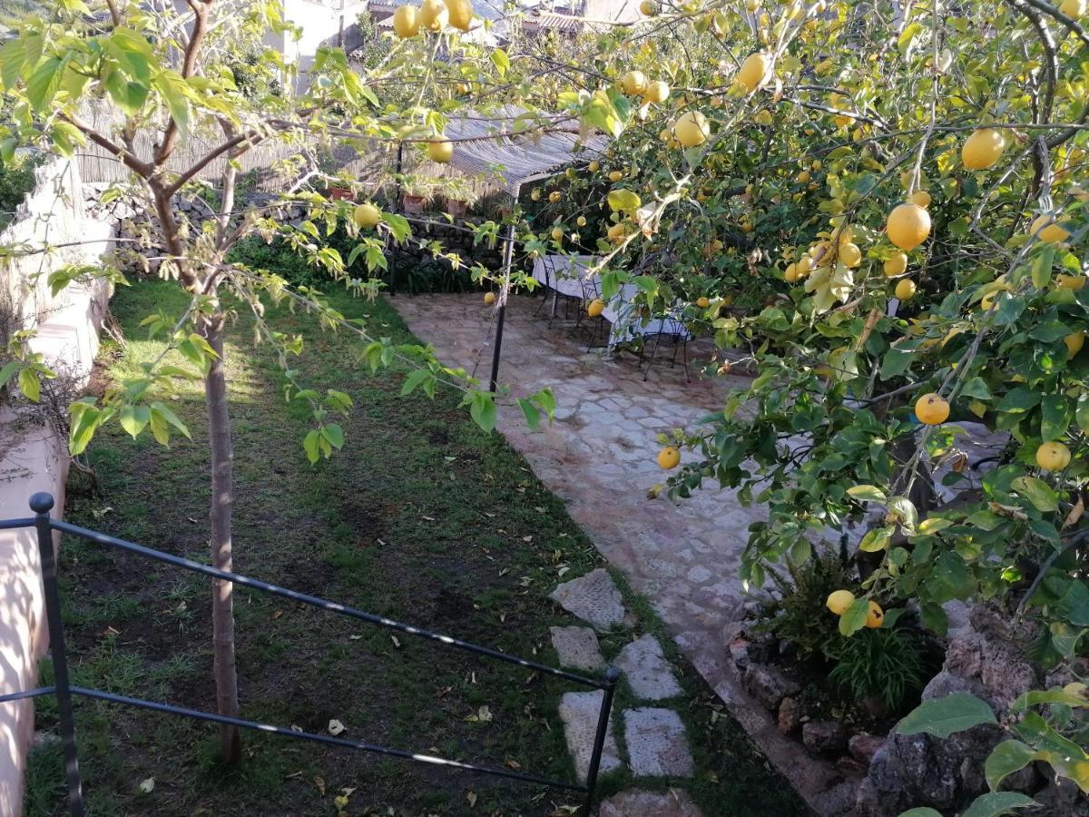 Filoses 18A Valldemossa  Buitenkant foto